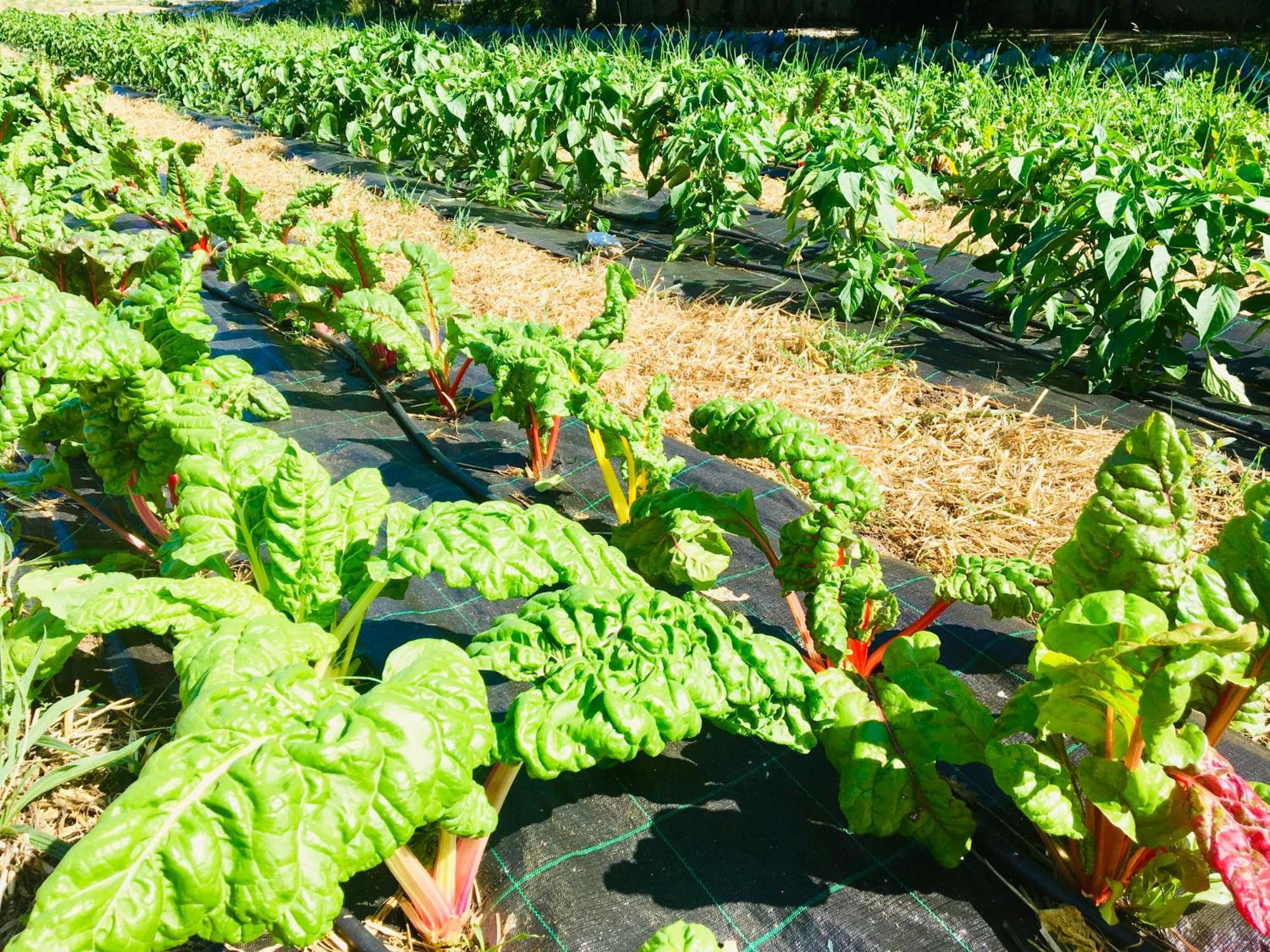 Finca Briabi La Caniza ภายนอก รูปภาพ